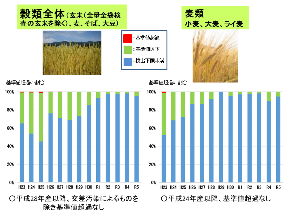 平成23年から令和6年3月までの穀類(全体・麦類)の経年変化です。
